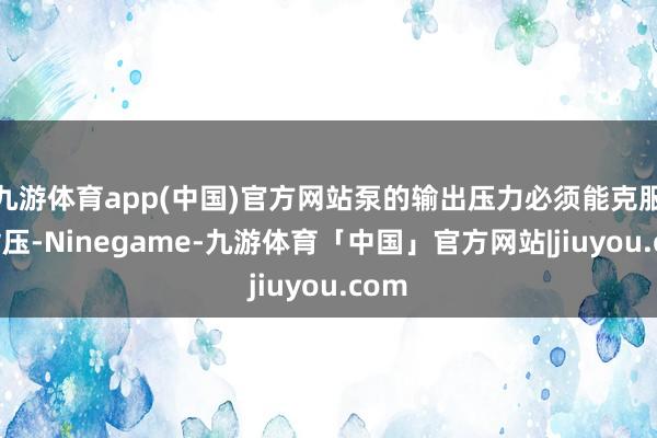 九游体育app(中国)官方网站泵的输出压力必须能克服此背压-Ninegame-九游体育「中国」官方网站|jiuyou.com