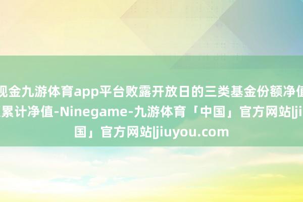 现金九游体育app平台败露开放日的三类基金份额净值和基金份额累计净值-Ninegame-九游体育「中国」官方网站|jiuyou.com