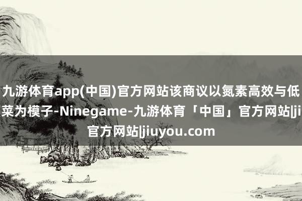九游体育app(中国)官方网站　　该商议以氮素高效与低效基因型油菜为模子-Ninegame-九游体育「中国」官方网站|jiuyou.com